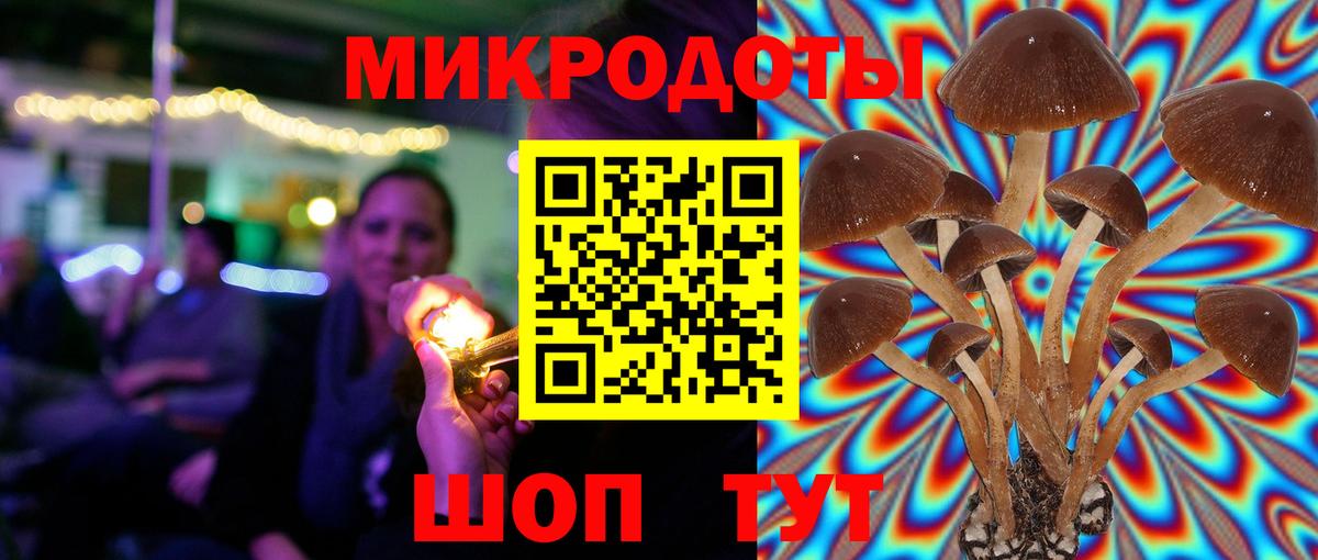 Галлюциногенные грибы Psilocybe  Вход с VPN  Кунгур 