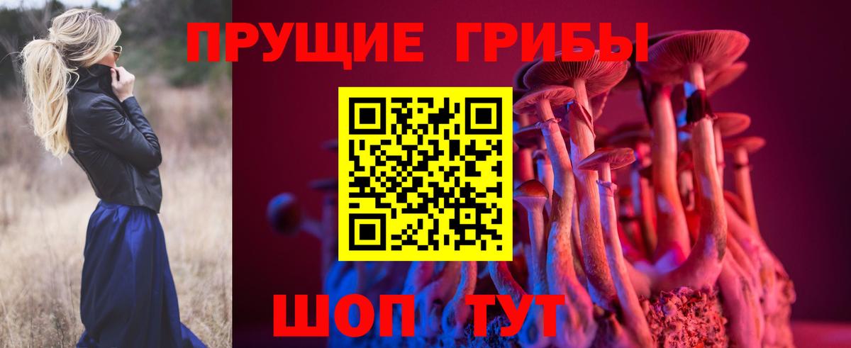 Галлюциногенные грибы Cubensis Кунгур
